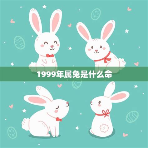 1999属兔|1999年属兔是什么命 1999年出生人的命运